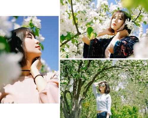 风中的花瓣在线观看,浪漫邂逅，命运交织的青春旋律  第2张