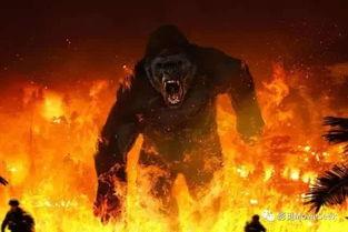 金刚骷髅岛在线观看完整版,惊险探险，探寻神秘岛屿的奇幻之旅  第2张